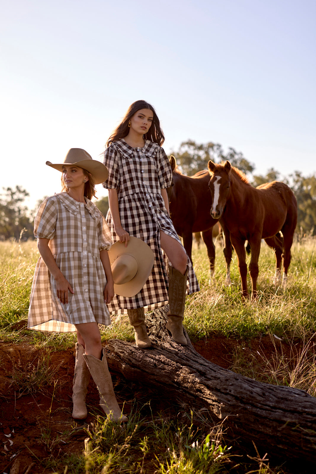 The Peta Midi Dress Chocolate