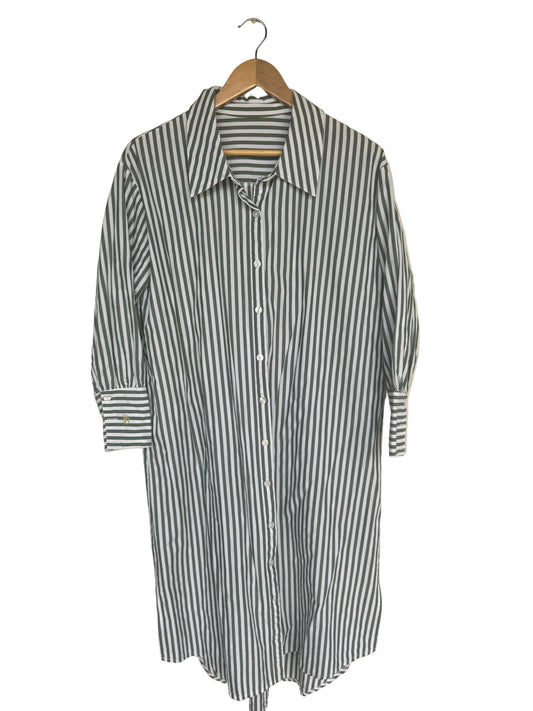 SAMPLE green stripe shirt dress